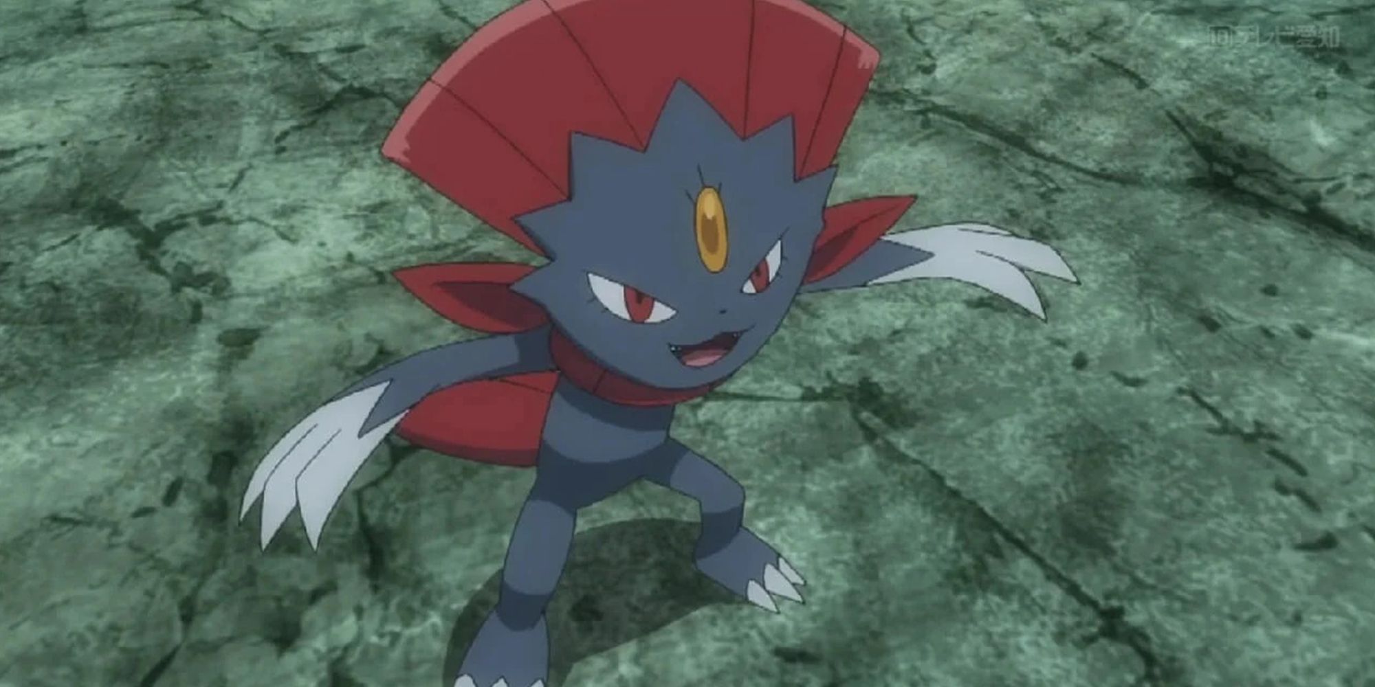 Weavile In The Pokemon Anime