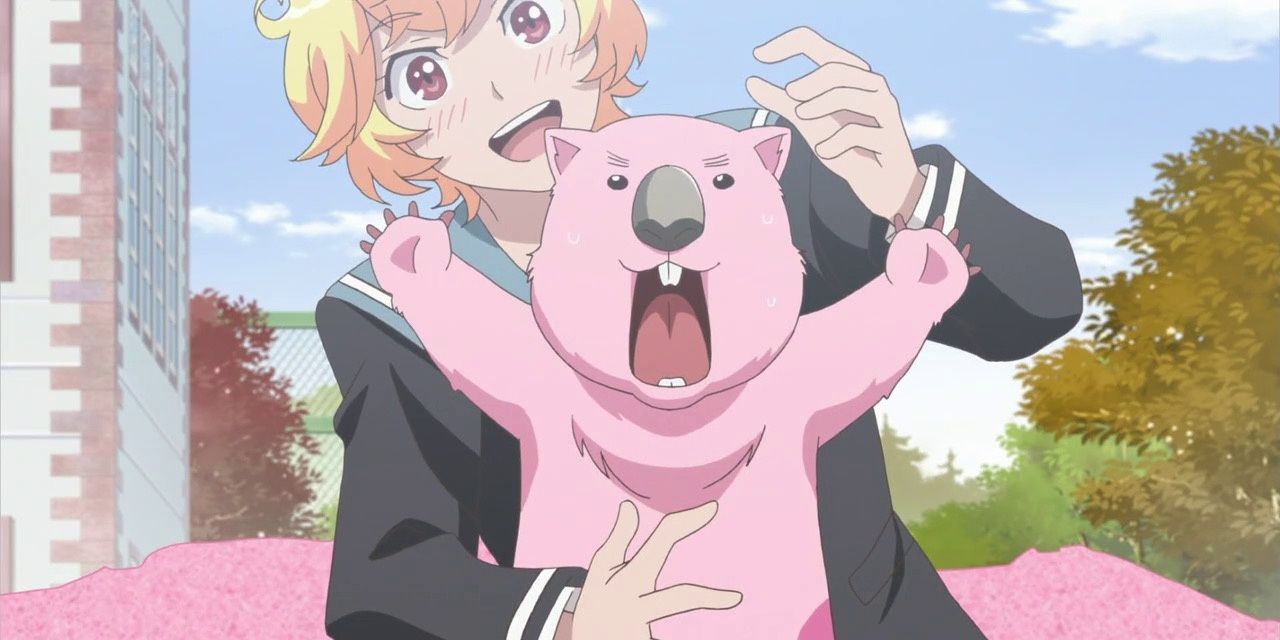 Wombat in Cute High Earth Defense Club LOVE