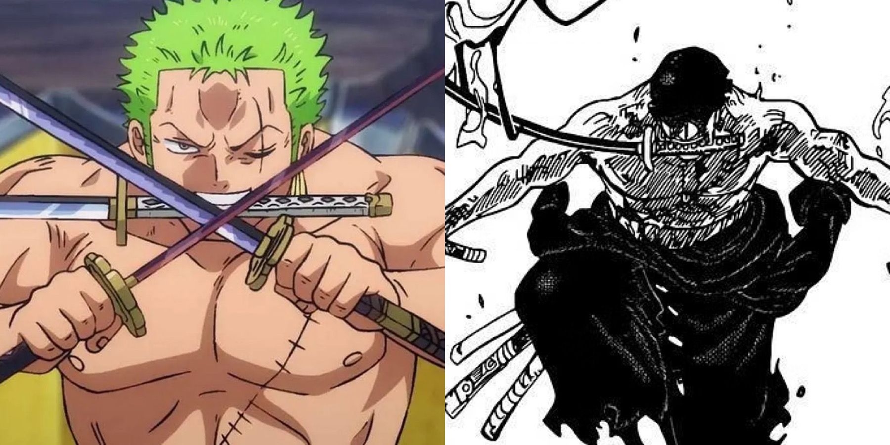 Zoro conquerors haki using enma 