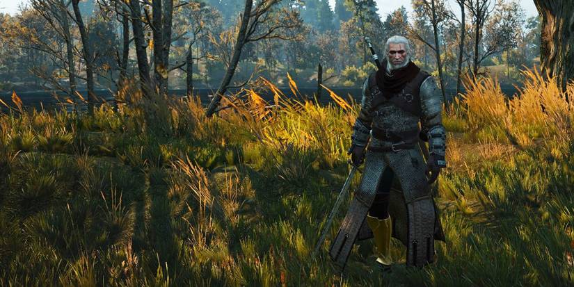 0_0009_The Witcher 3 Wild Hunt