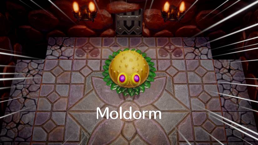 moldorn boss links awakening zelda