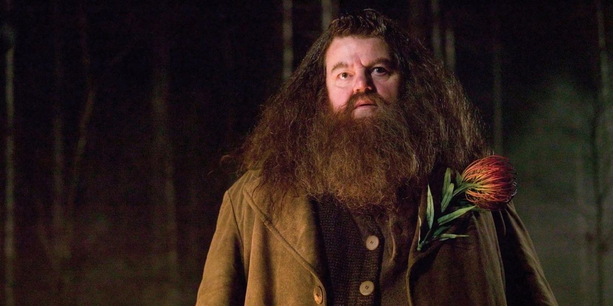 Hagrid in Harry Potter and the Goblet of Fire with a flower on his overcoat