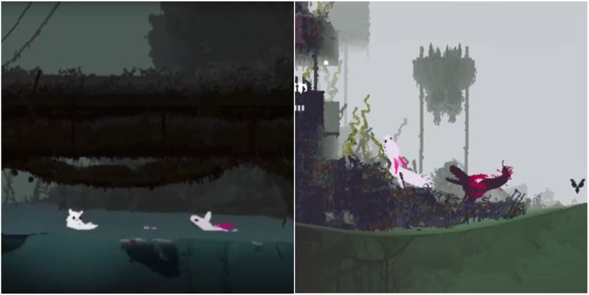 Albinistic and Melanistic Salamanders in Rain World