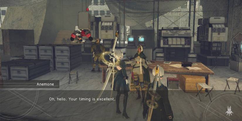 Anemone Introduction