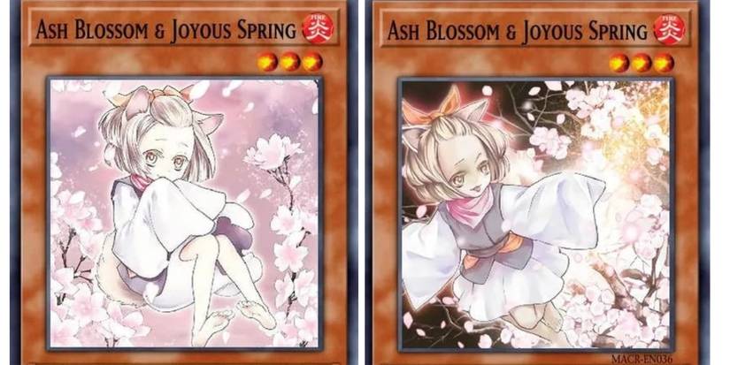 Ash Blossom & Joyous Spring