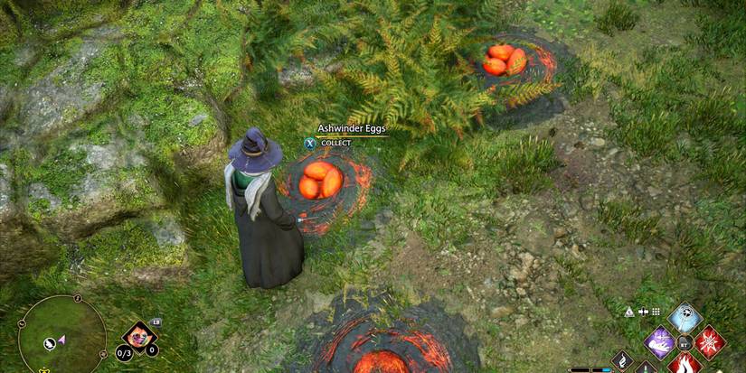 Ashwinder Eggs Hogwarts Legacy