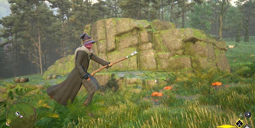 Ashwinder Eggs Merlin Trial Lower Hogsfield Hogwarts Legacy