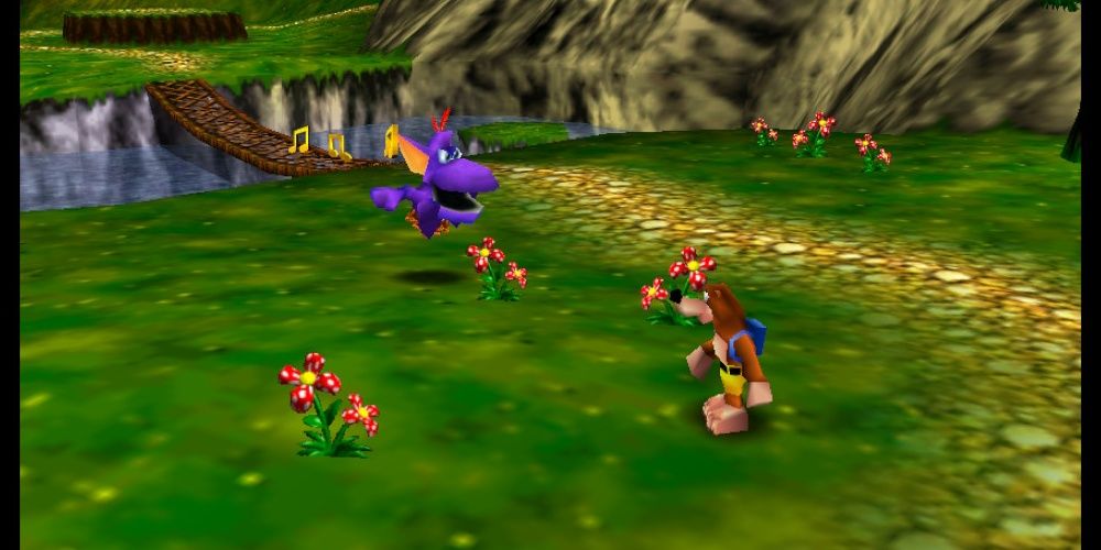 Banjo-Kazooie N64 Banjo Standing In A Field