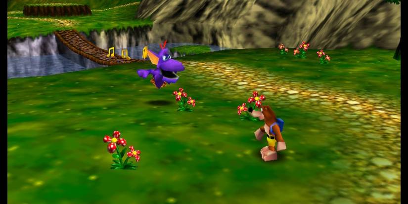 Banjo-Kazooie N64 Banjo Standing In A Field