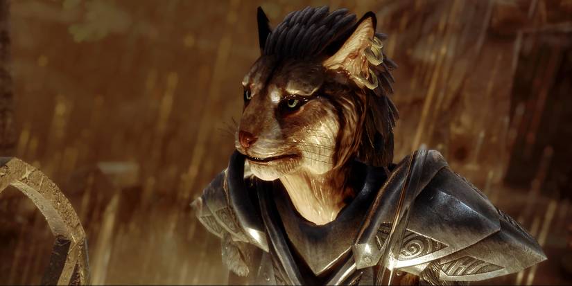 BeastHHBB - Khajiit and Argonian content mod for Skyrim
