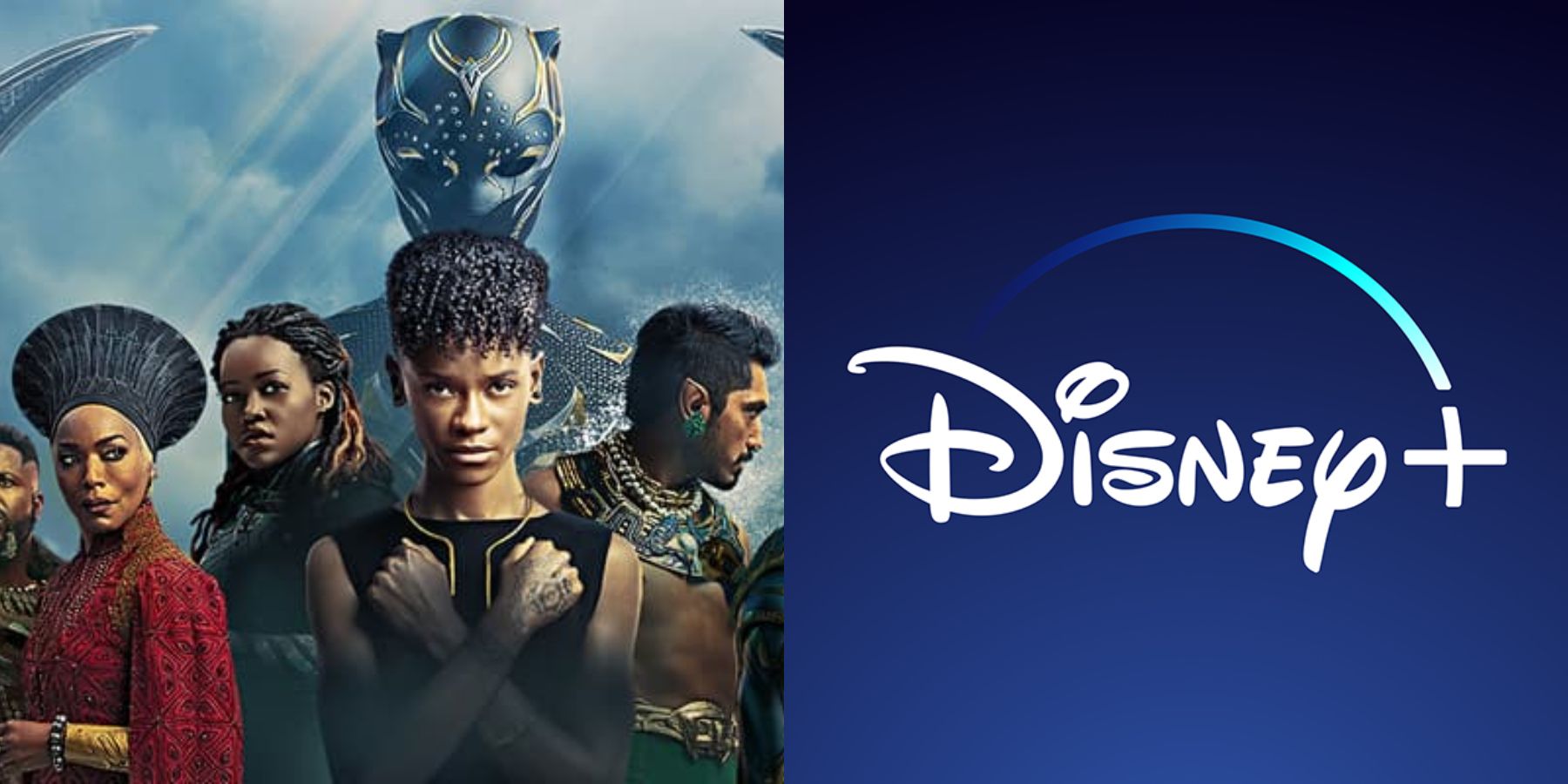 Black Panther Wakanda Forever Disney Plus Record