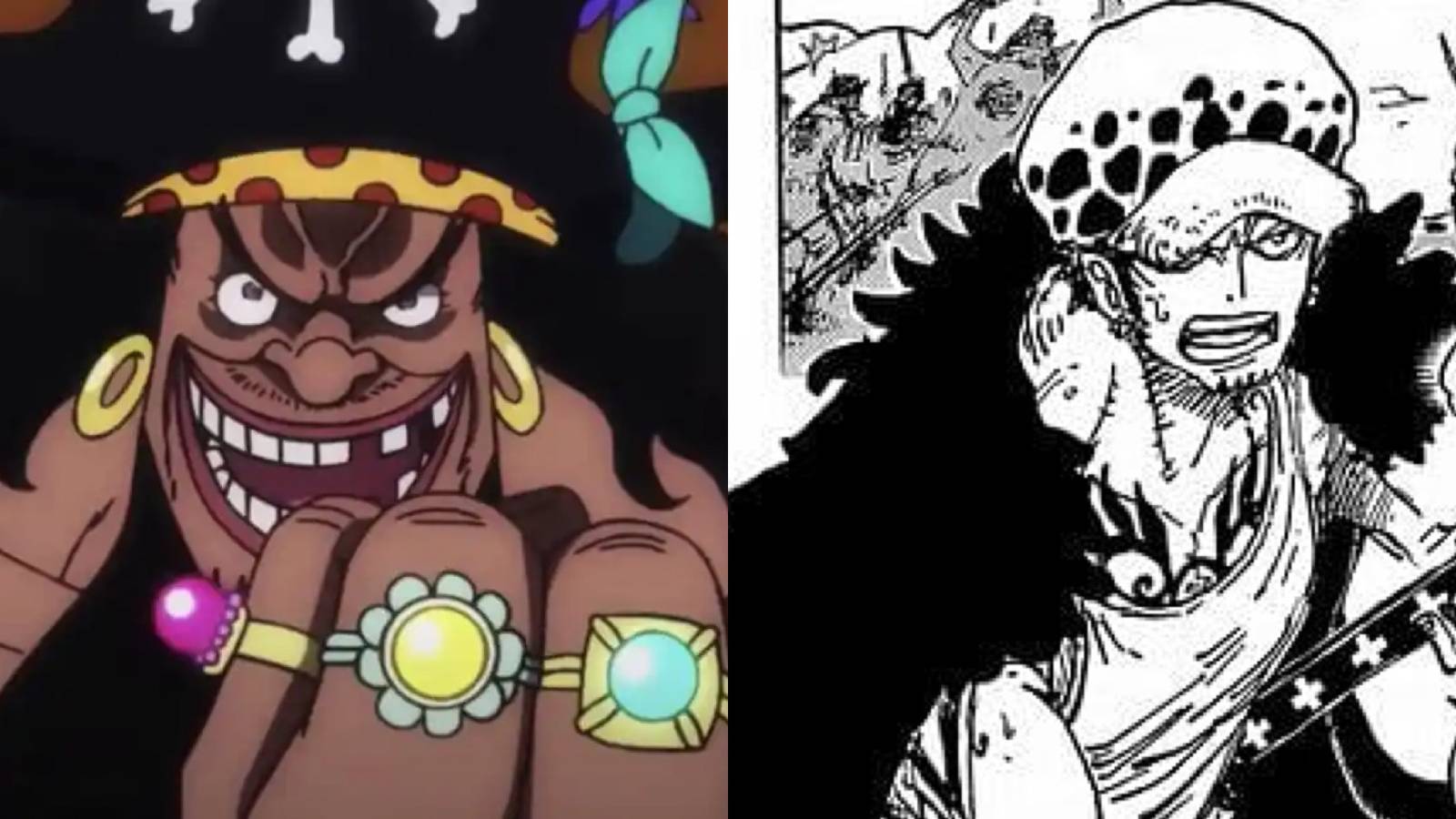 blackbeard and law one piece