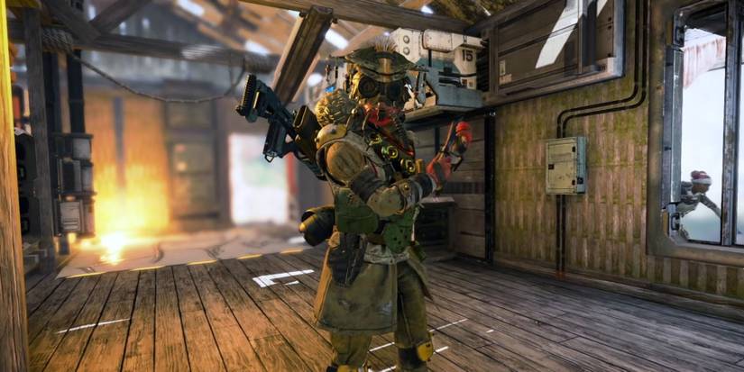 Bloodhound preparing for a hunt