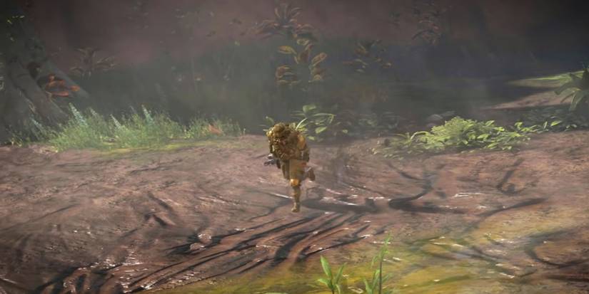 Bloodhound running in an area