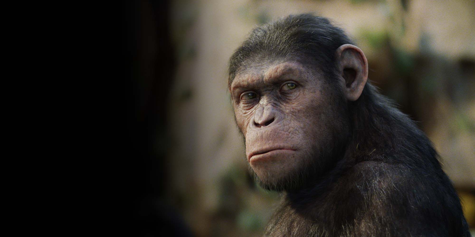 Caesar in Rise of the Planet of the Apes