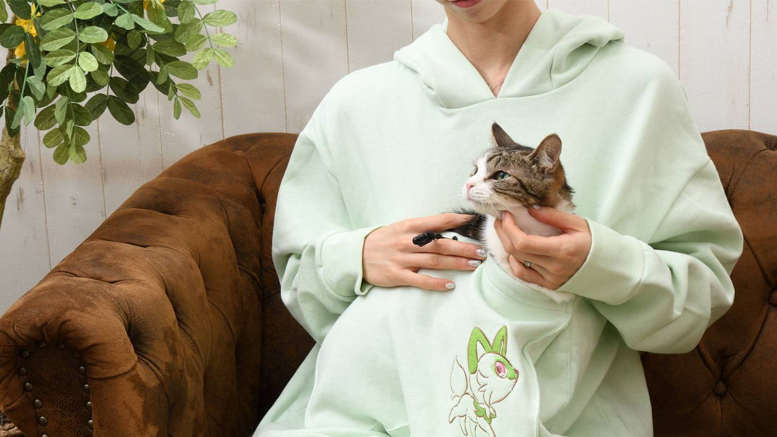 cat-sprigatito-collection