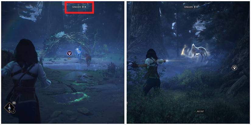 catching a shiny beast in hogwarts legacy