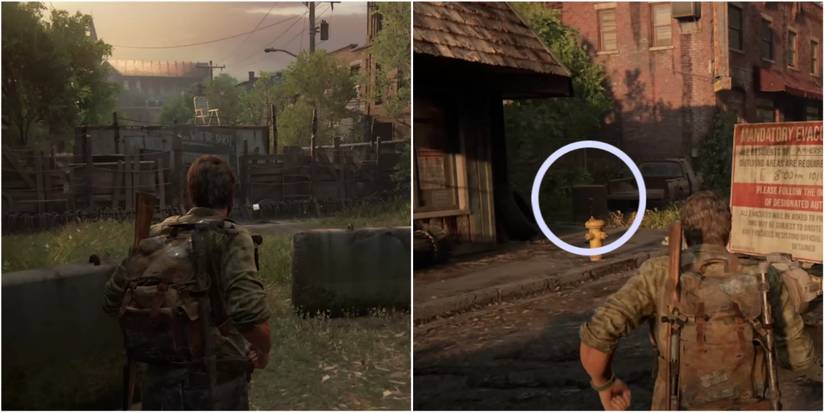 Collage Maker-10-Feb-2023-04.29-PM