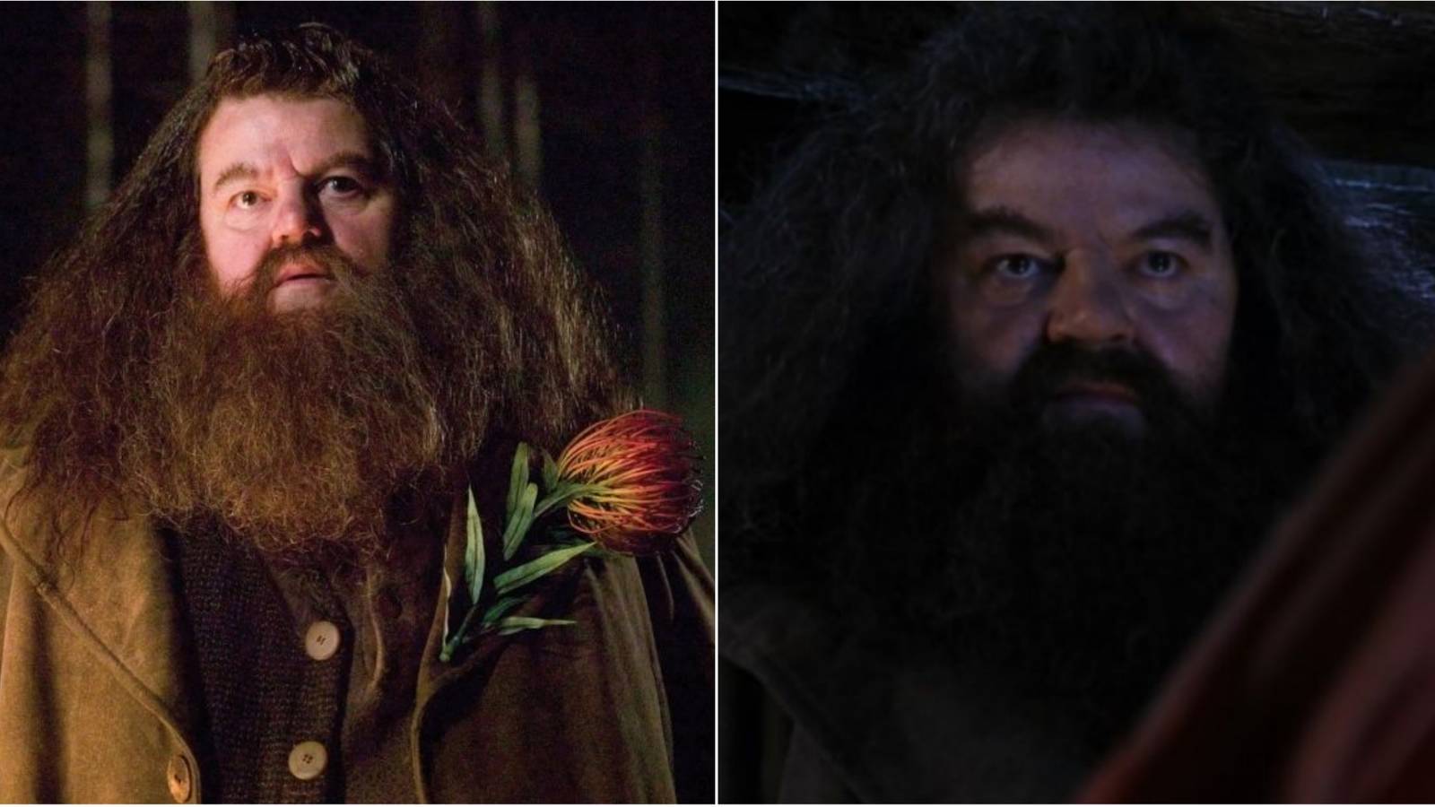 Rubeus Hagrid