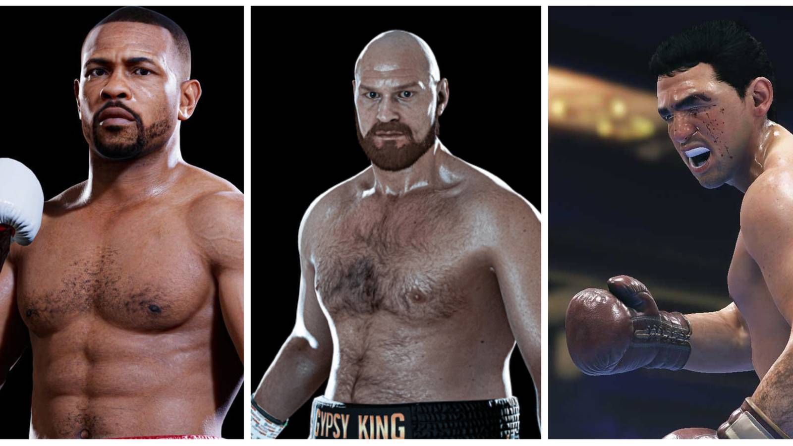 Professional Boxers Undisputed Game