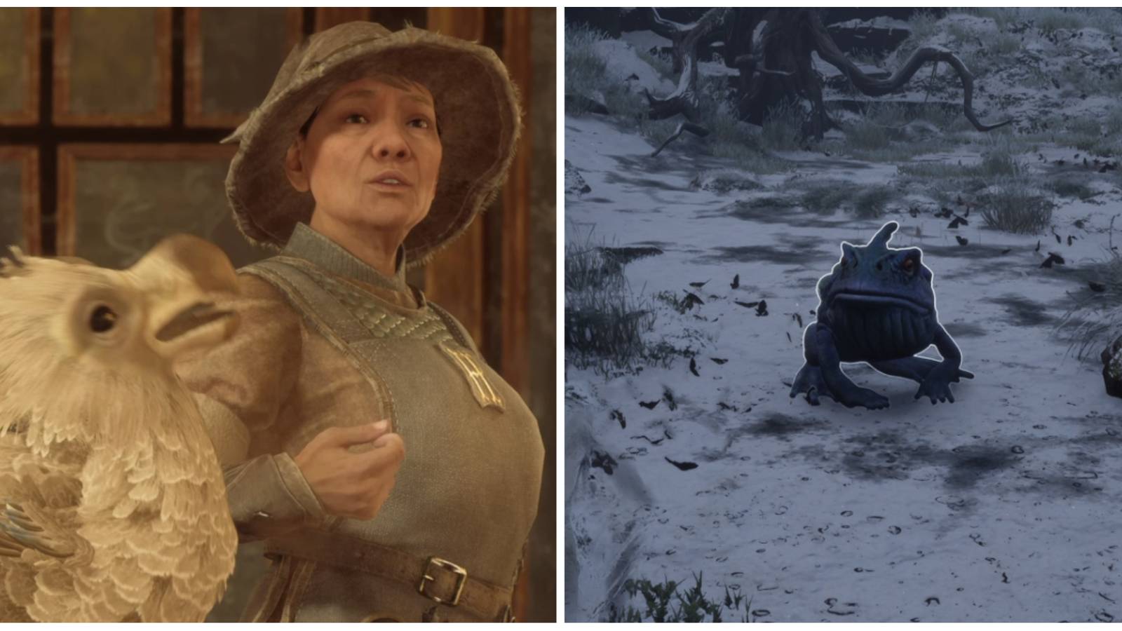 Professor Howin and a Giant Purple Toad in Hogwarts Legacy