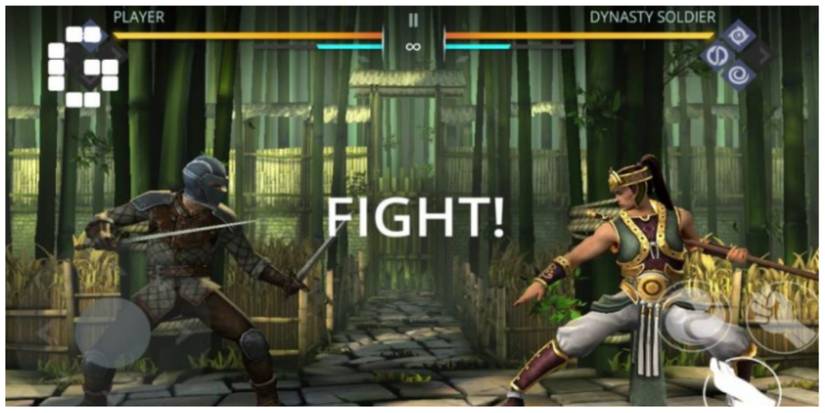 Fight in Shadow 3 Fight