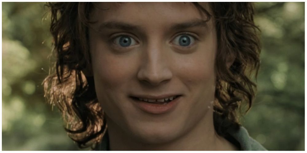 Elijah Wood as Frodo Baggins