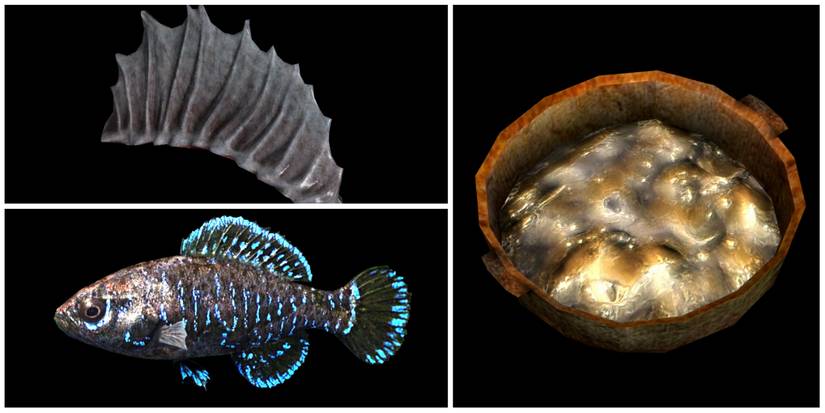 scanlon fin, pygmy sunfish, ectoplasm