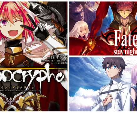 The Fate Series Anime