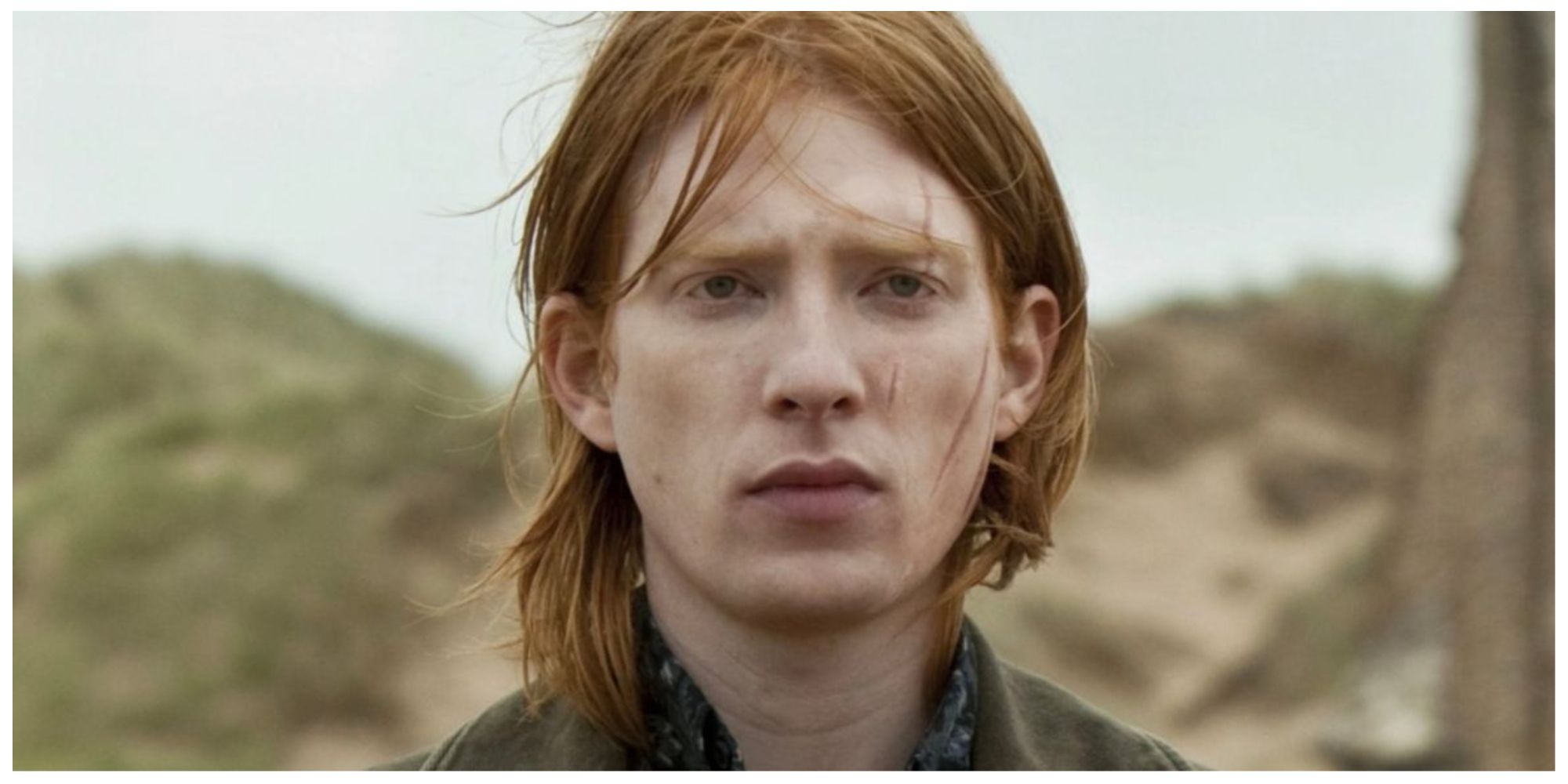 Bill Weasley in the Harry Potter Deathly Hallows movies