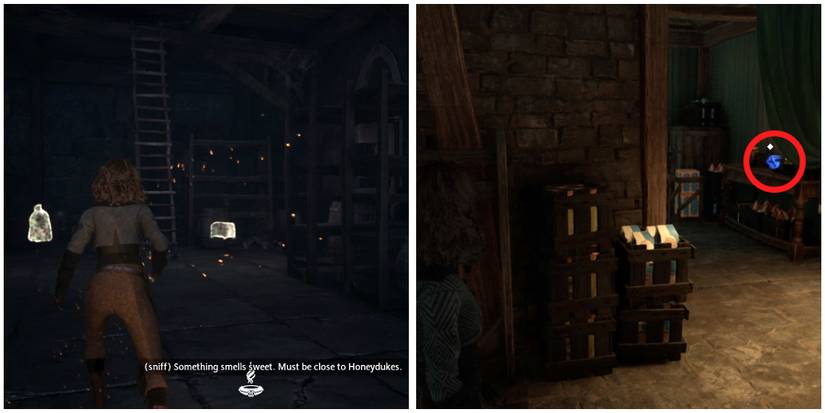 collecting the dried billywig stings jar from honeydukes cellar in hogwarts legacy