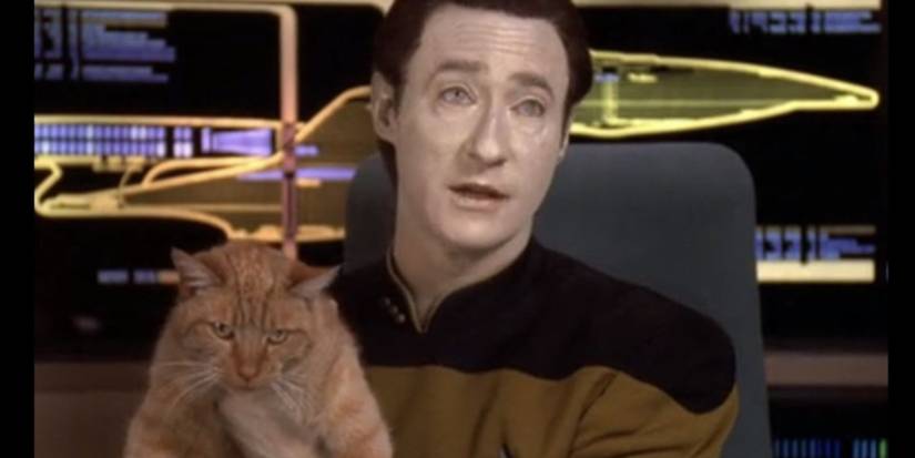 data and spot star trek