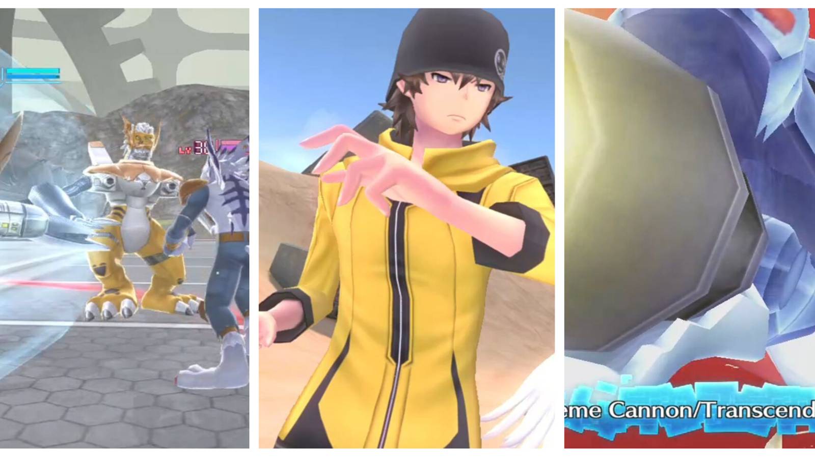 Digimon World Order Training