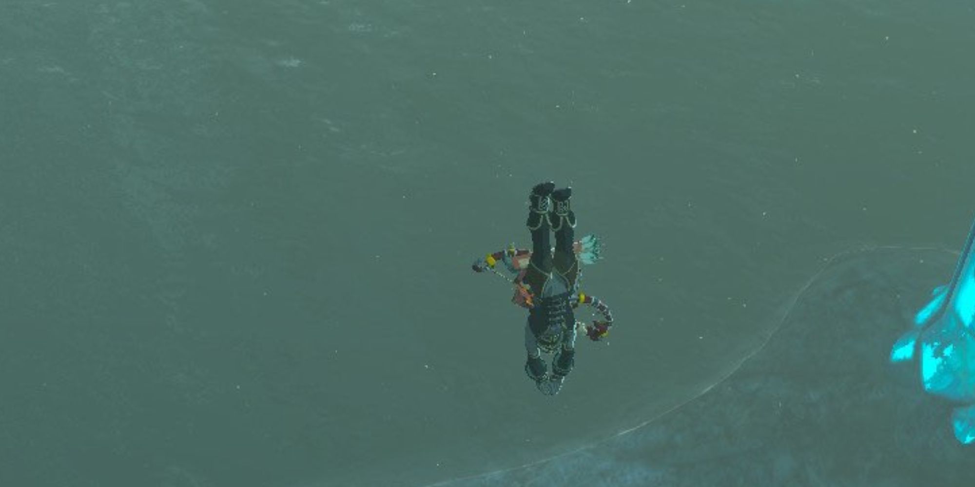 diving botw