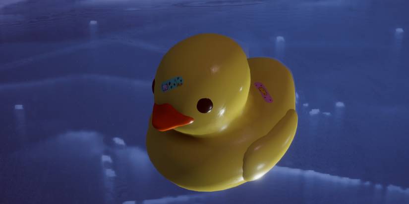 DLCDucksPlease-Placid-Plastic-Duck-Sim-All-Ducks-Booboo