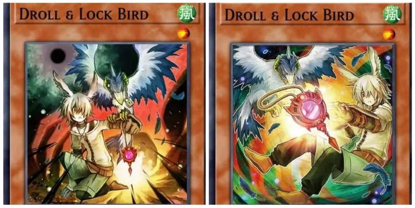 Droll and Lock Bird