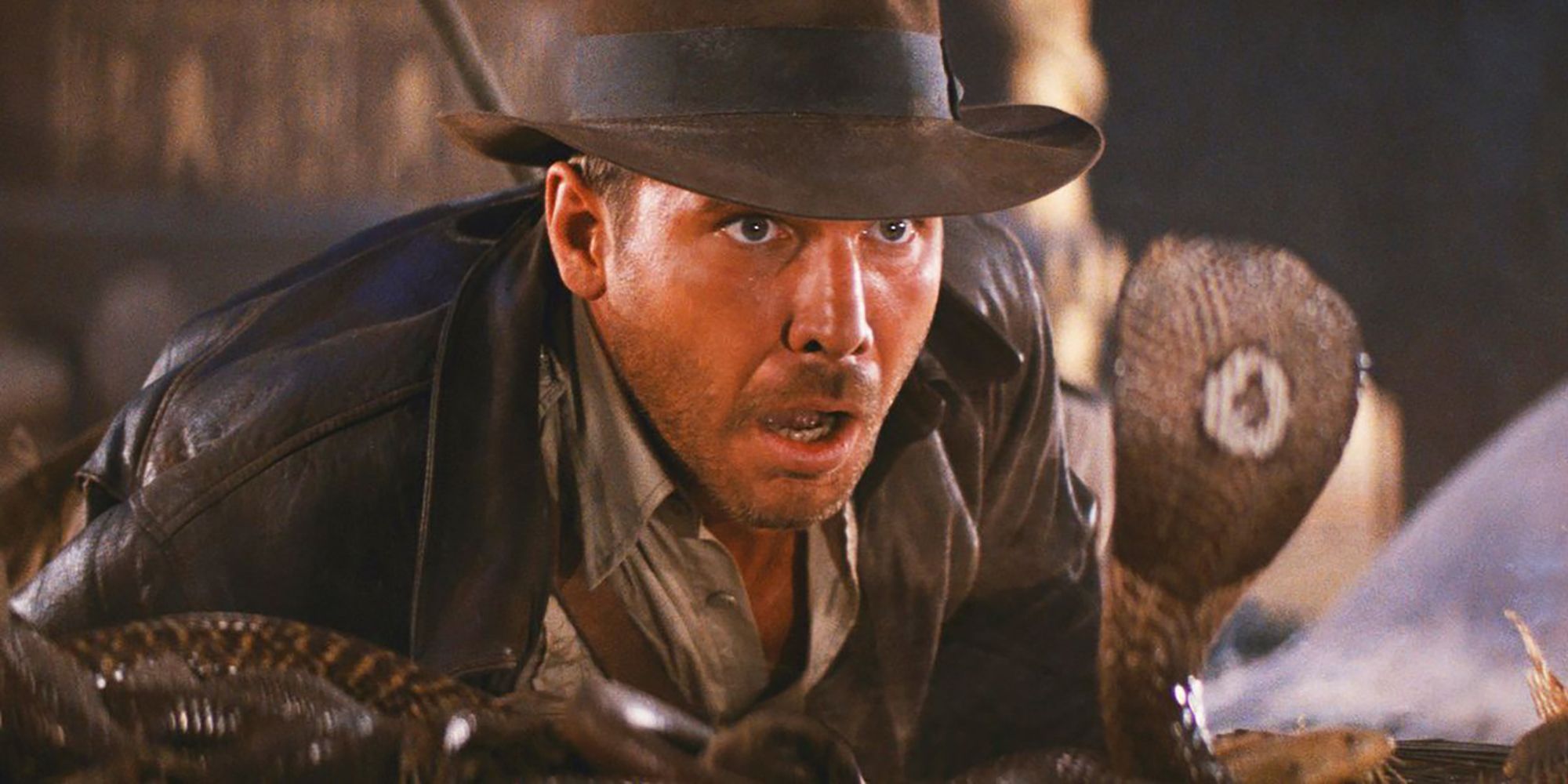 Raiders Of The Lost Ark Image