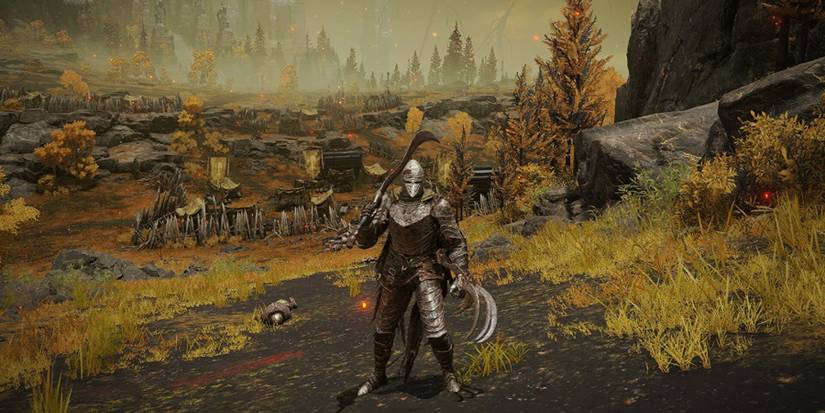 elden ring tarnished field