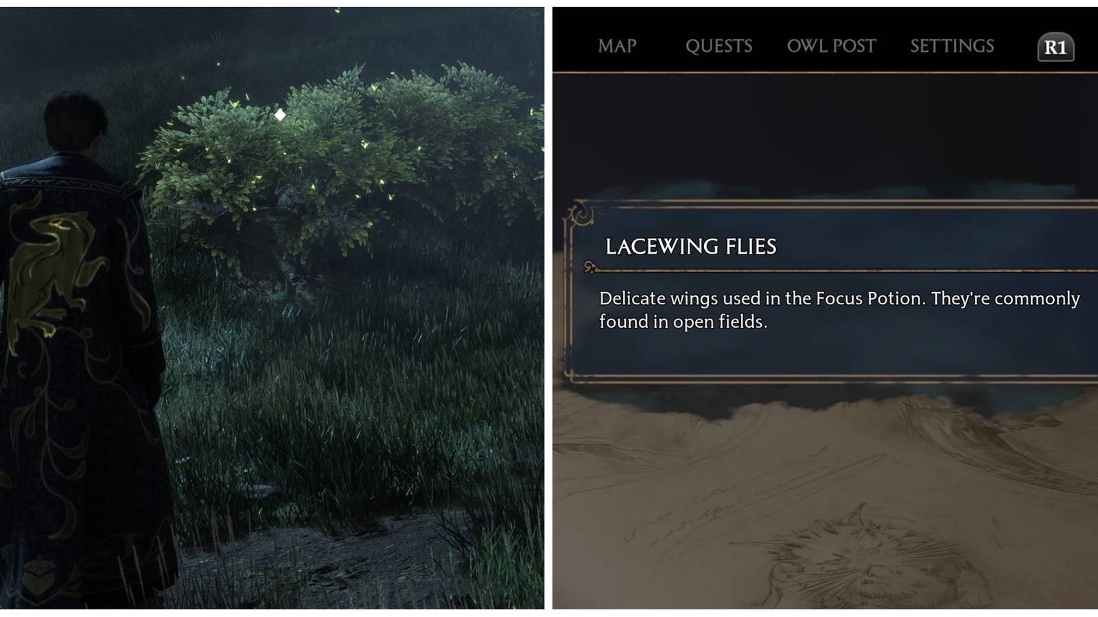 Finding Lacewing Flies in Hogwarts Legacy