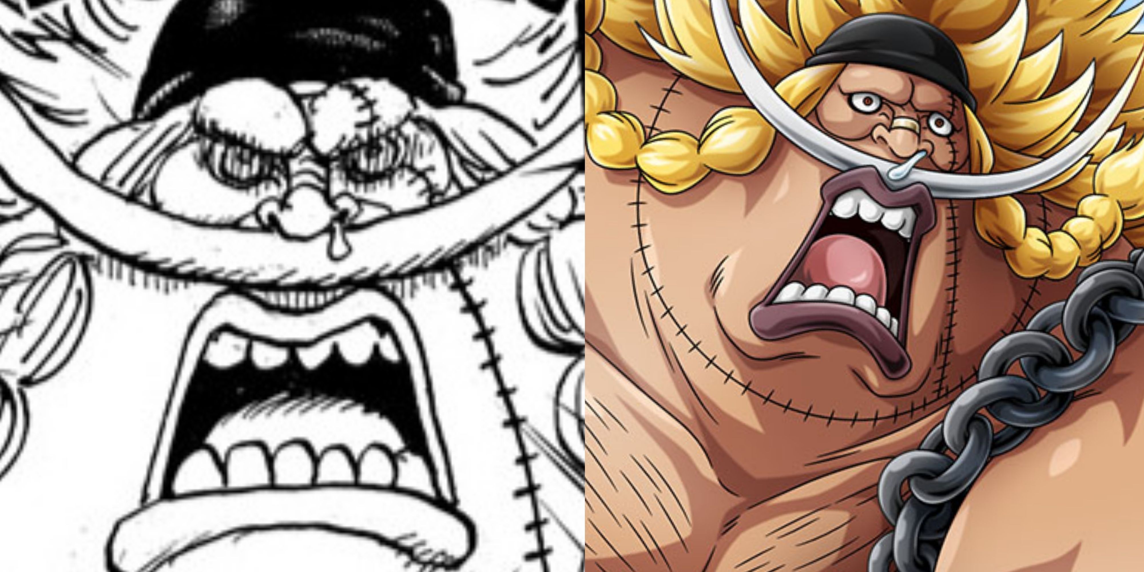 One Piece: Edward Weevil's Strength, Explained