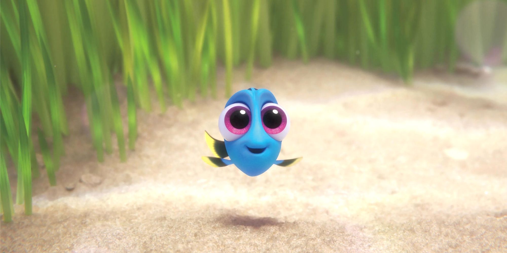 Dory in Finding Dory