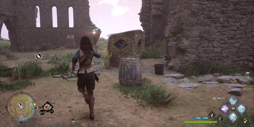 finding the fireflies in hogwarts legacy