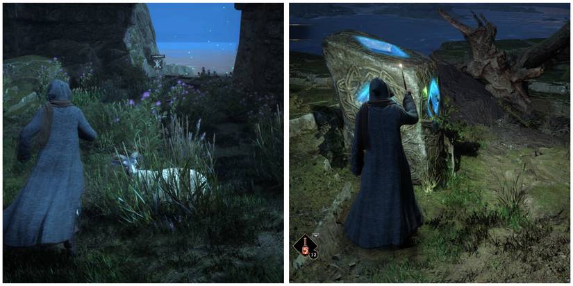 finding the second horde and placing them inside the moonstone in hogwarts legacy