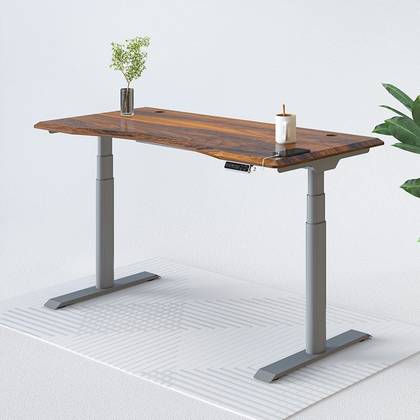 Standing Desk president's day discount