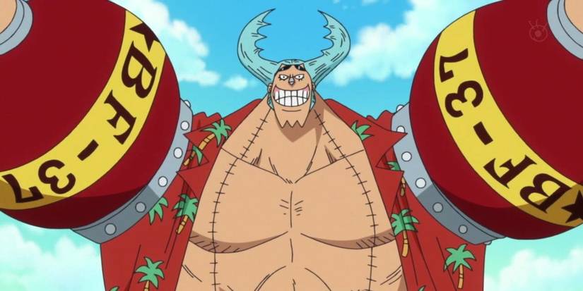 Franky with beetle hair in One Piece anime