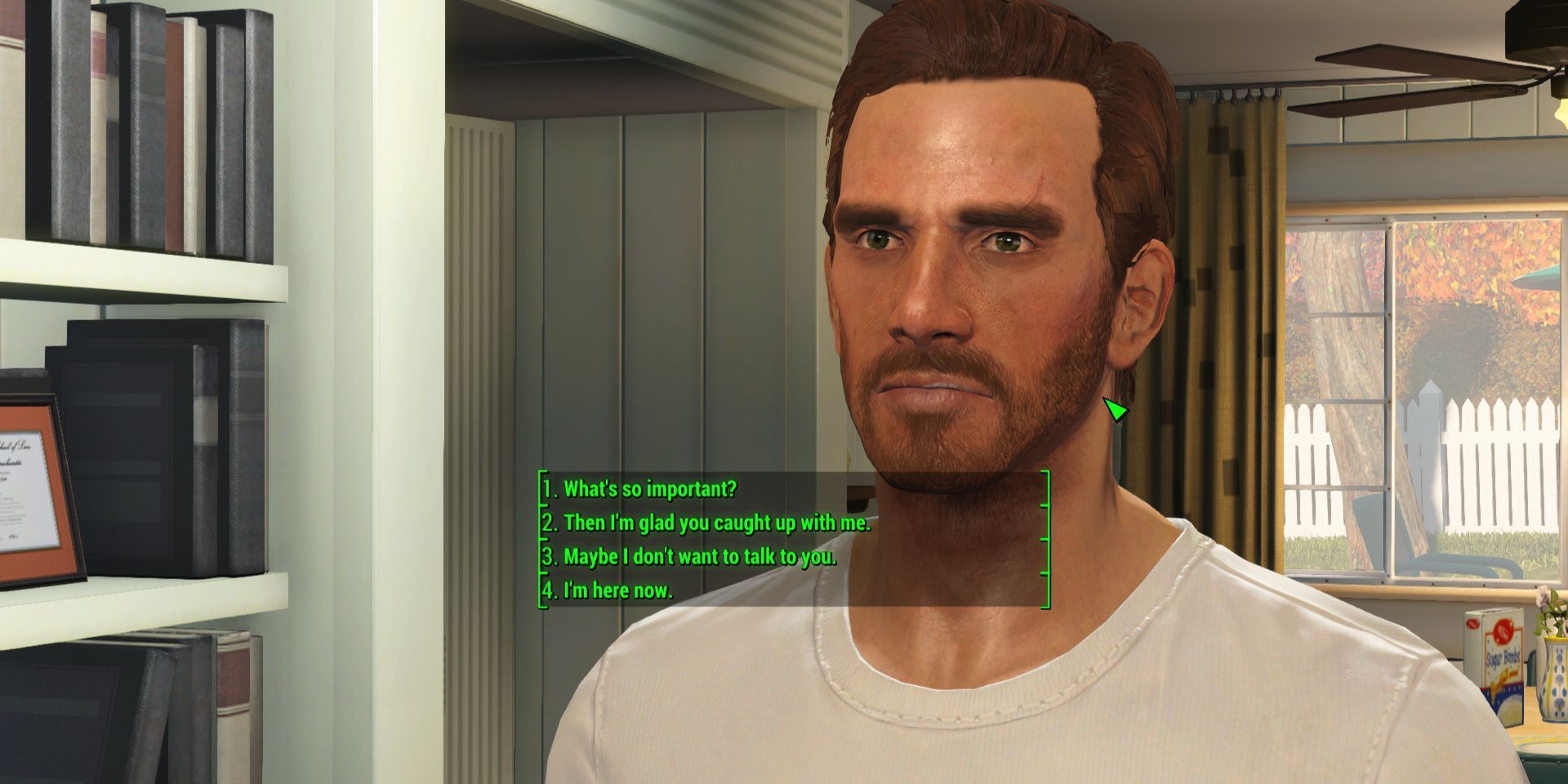A picture from the Fallout 4 mod Full Dialogue Interface