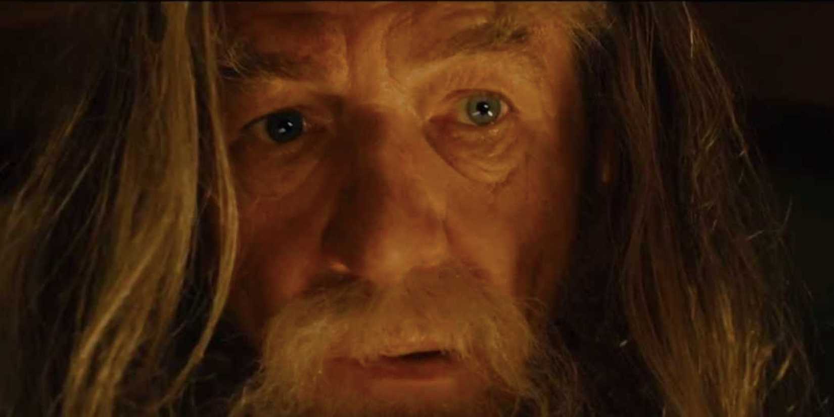 Gandalf stares into the camera