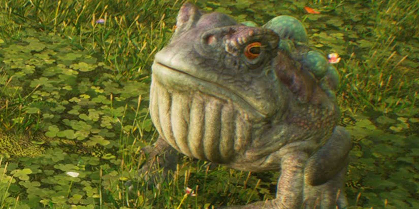 giant purple toad in the beast sanctuary hogwarts legacy