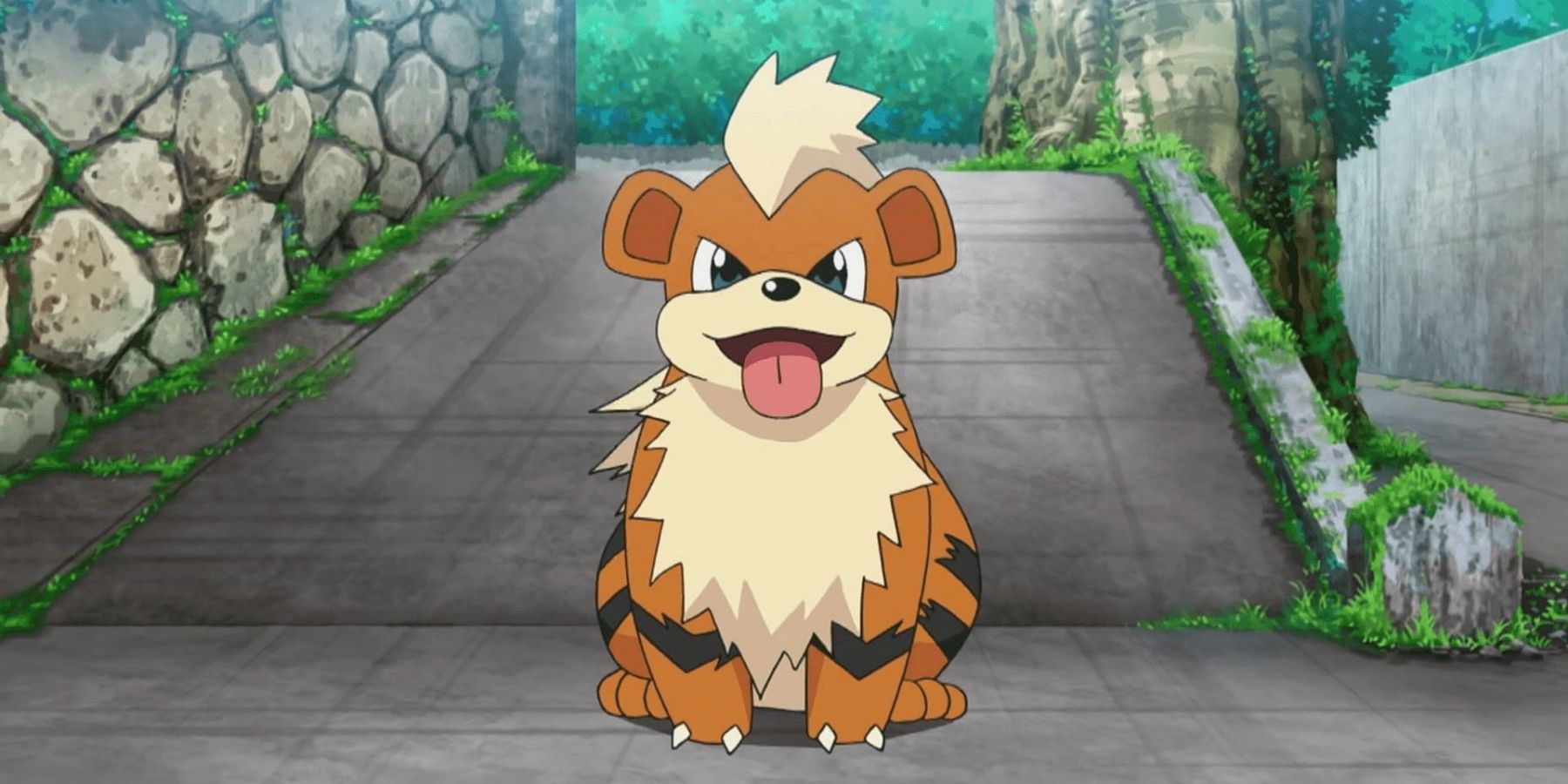 growlithe in pokemon anime