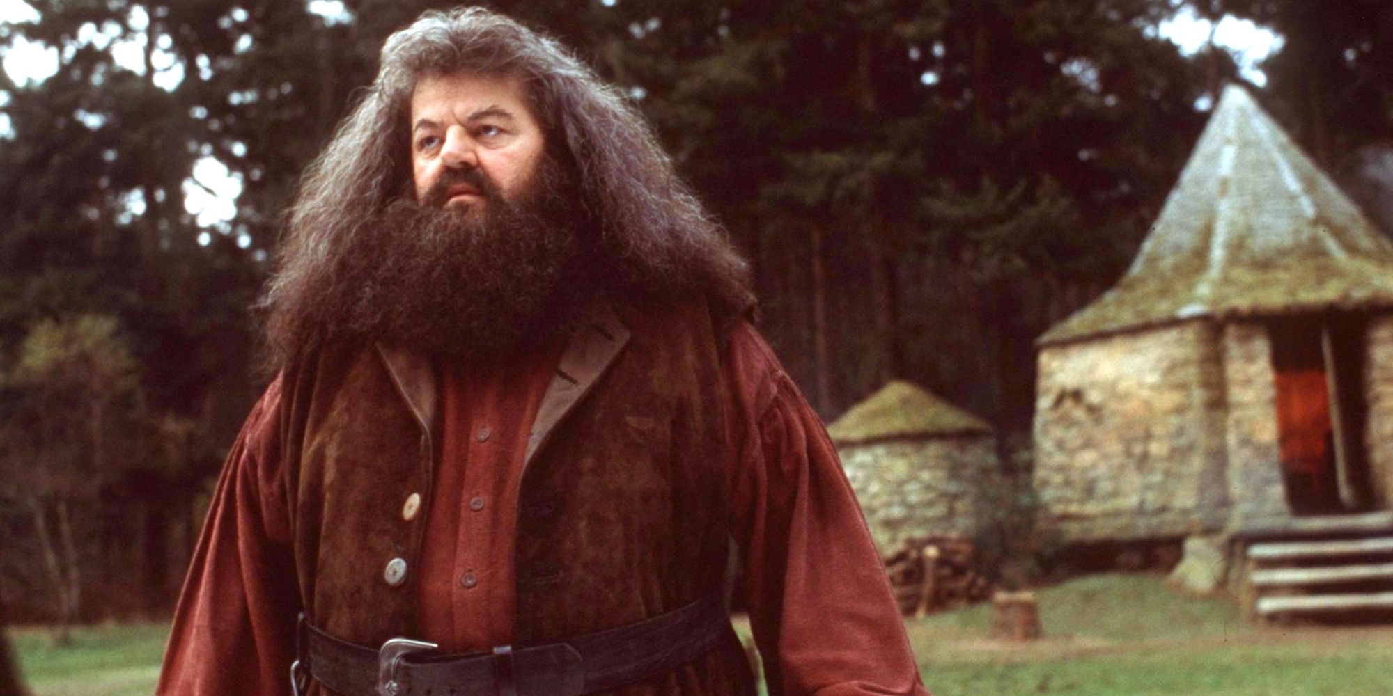 Harry Potter Plot Holes That The Movies Fixed Hagrid